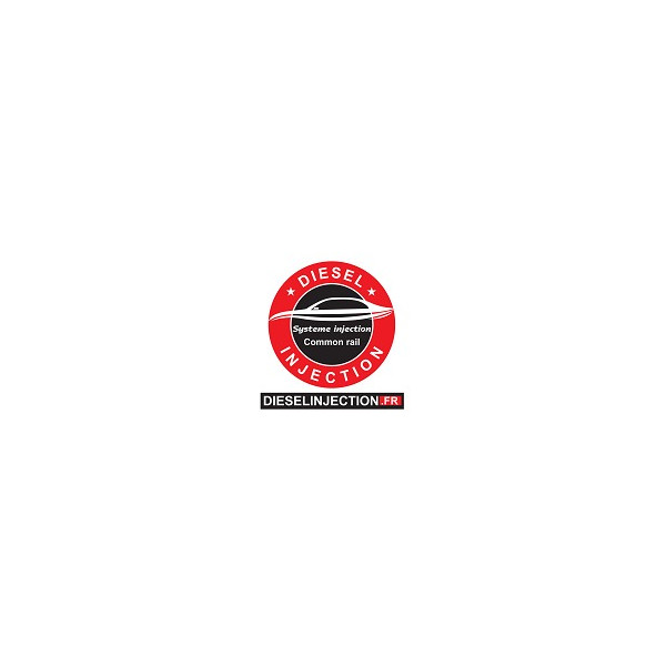 Pompe DELPHI LUCAS R8448B360A (Reparation Delphi)