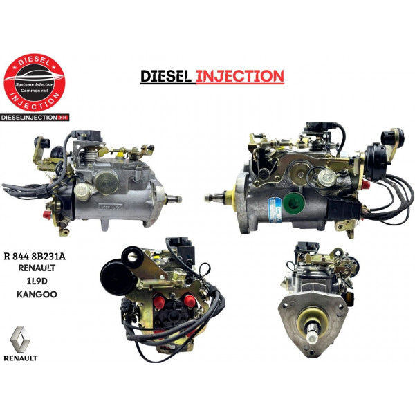 Pompe à injection RENAULT KANGO 1L9D R8448B361B Réparation DELPHI