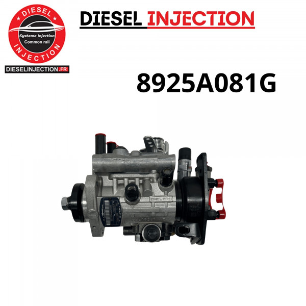 Pompe à injection DELPHI 8925A081G