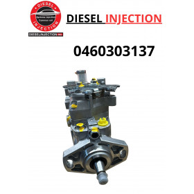 Pompe à injection equvalente 0460303154 0460303137 modifiée