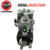Pompe à injection 0460303048 Modifiable