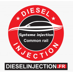 Injecteur DELPHI 7516846 400903-00043 E