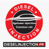 Injecteur DELPHI 7516846 400903-00043 E