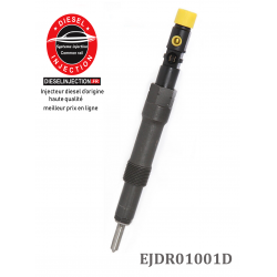 Injecteur DELPHI EJDR01001DEJDR01001D