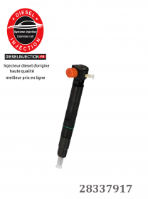 INJECTEUR DELPHI 2833791728337917