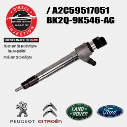 Injecteur SIEMENS A2C59517051 BK2Q-9K546-AGA2C59517051 / BK2Q-9K546-AG
