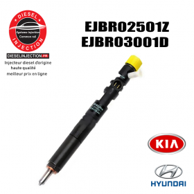Injecteur DELPHI HYUNDAI-KIA 2.9 litres HPDI/CRDI EJBR02501ZEJBR02501Z-EJBR03001D