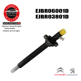 Injecteur DELPHI 2.0L HDI 136CV EJBR03801D-EJBR06001DEJBR03801D-EJBR06001D