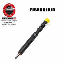 Injecteur DELPHI 2.0 HDi EJBR06101D YUCHAIEJBR06101D