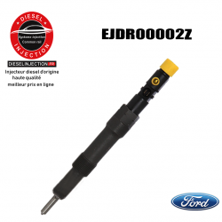 Injecteur DELPHI EJDR00002ZEJDR00002Z