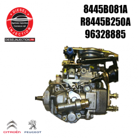Pompe injection delphi 8445B081A8445B081A