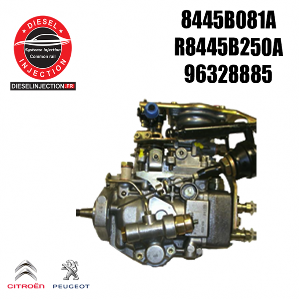 Pompe injection delphi 8445B081A8445B081A