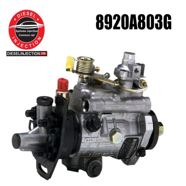 Pompe DELPHI-LUCAS 8920A803G8920A803G