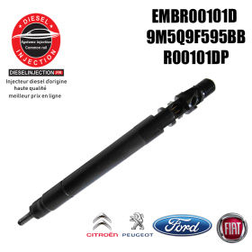 Injecteur DELPHI EMBR00101D neufEMBR00101D - R00101D