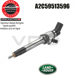 Injecteur SIEMENS VDO 3.6TD V8 A2C59513596A2C59513596