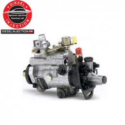 Pompe Delphi 8921A284G8921A284G