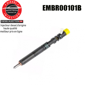 Injecteur DELPHI EMBR00101B ReconditionnéEMBR00101B