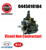 Pompe injection Bosch 04450101870445010187