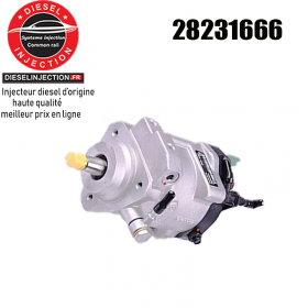 Pompe injection delphi 2823166628231666