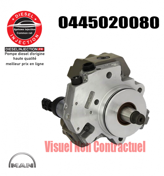 Pompe injection Bosch 04450200800445020080