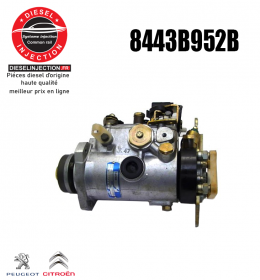 Pompe injection Delphi 8443B952B8443B952B