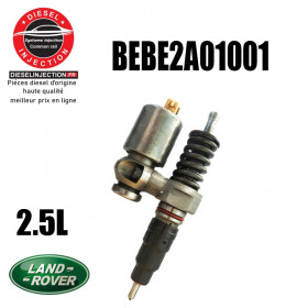 Injecteur DELPHI BEBE2A01001BEBE2A01001