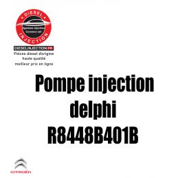 Pompe injection Delphi R8448B401BR8448B401B
