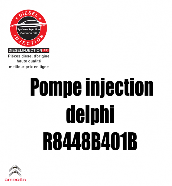 Pompe injection Delphi R8448B401BR8448B401B