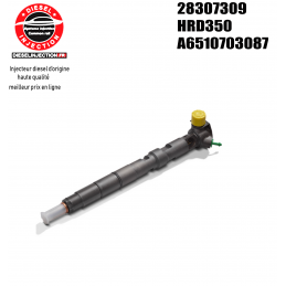 Injecteur DELPHI 28307309 HRD35028307309 HRD350