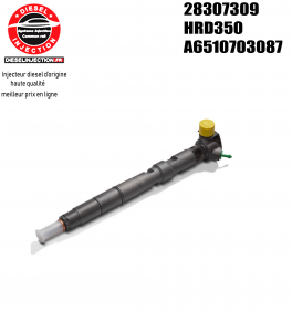 Injecteur DELPHI 28307309 HRD35028307309 HRD350