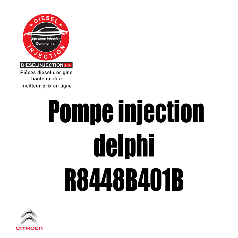 Pompe injection Delphi R8448B401BR8448B401B