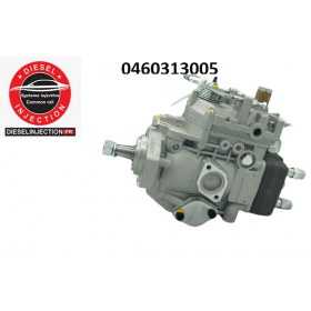 Pompe à injection 0460313005 Modifiable
