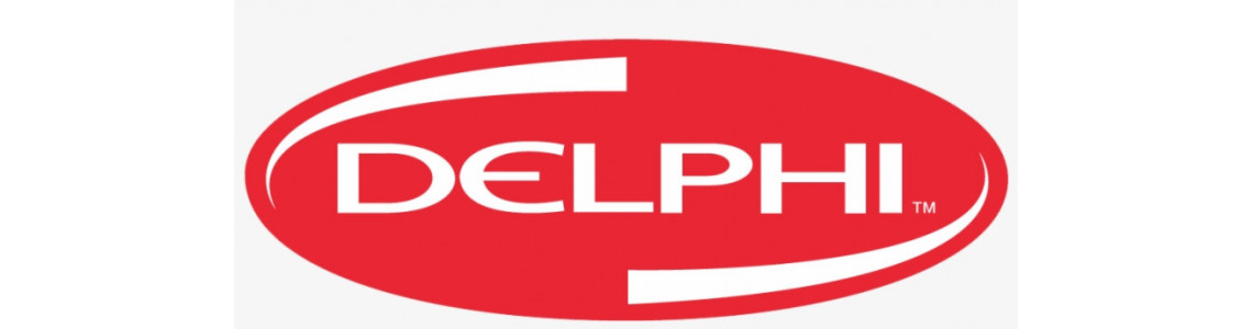 Injecteurs DELPHI